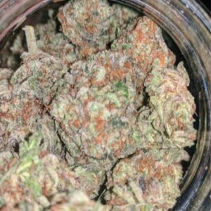 Köp Lilac Punch Online