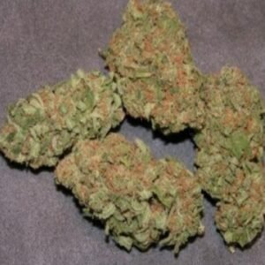 Köp Tessa Kush online