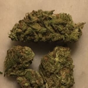 Beställ Green Dragon stam Online