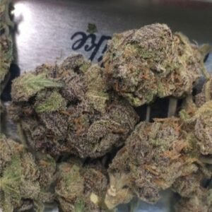 Beställ Black Mamba Online