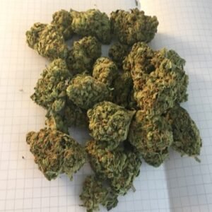 Köp Grape Ape Stam Online