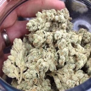 Köp Kosher Kush online