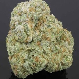 Köp Northern Light Indica-stammar online