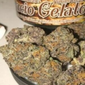 Gelato-Stammar