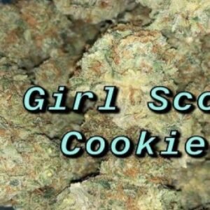 Girl Scout Cookies