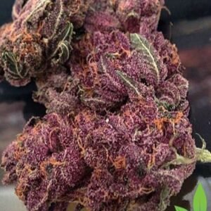 Köp Lilac Kush online