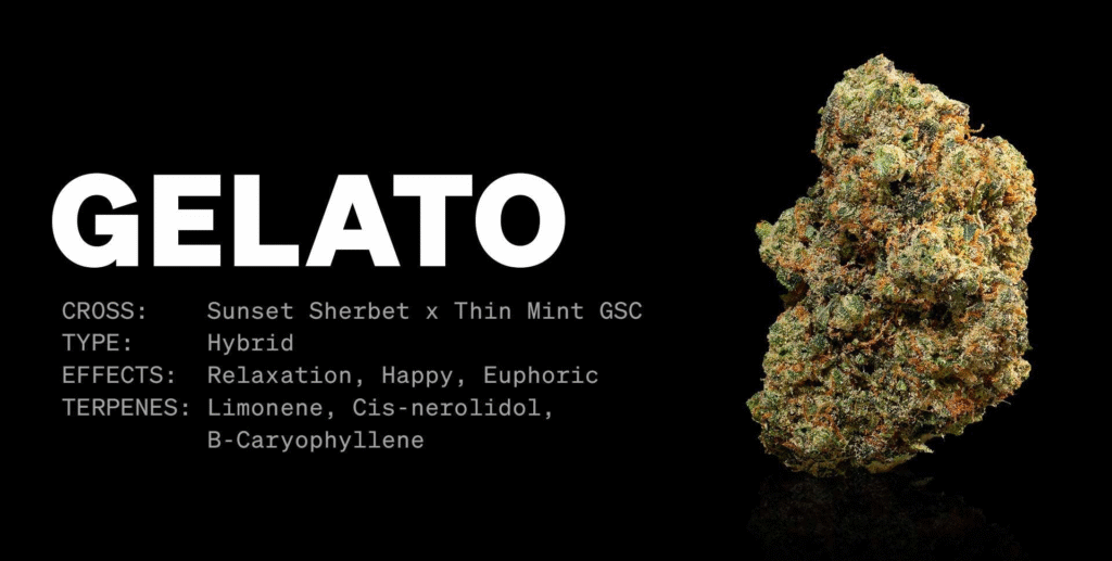 Terpener bakom gelatosmak och upplevelse