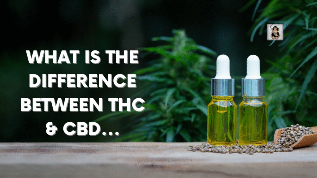 Förklara skillnaden mellan THC och CBD