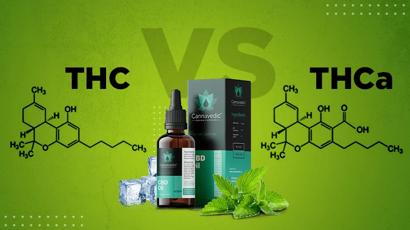 potentiella biverkningar av thca